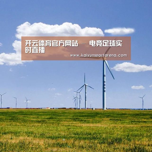 风能