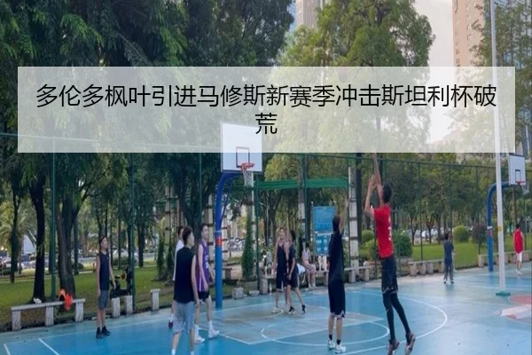 多伦多枫叶引进马修斯新赛季冲击斯坦利杯破荒