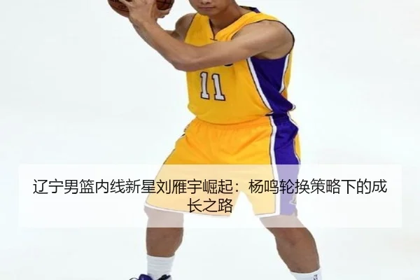 辽宁男篮内线新星刘雁宇崛起：杨鸣轮换策略下的成长之路